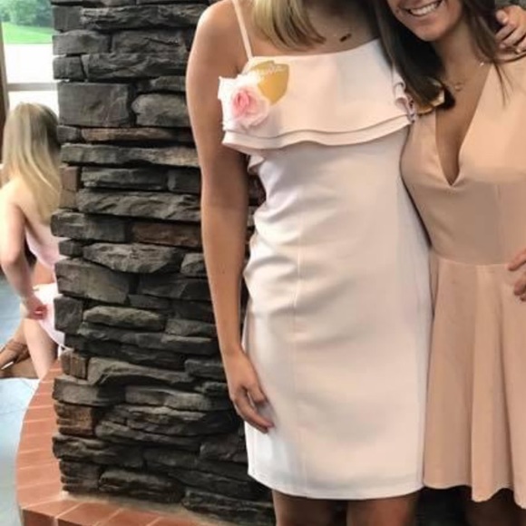 Karl Lagerfeld Blush Pink Dress - Picture 2 of 2